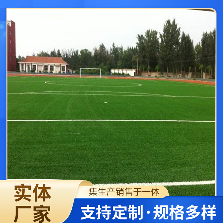 潮州市橡胶跑道人造草坪 - 哪里好
